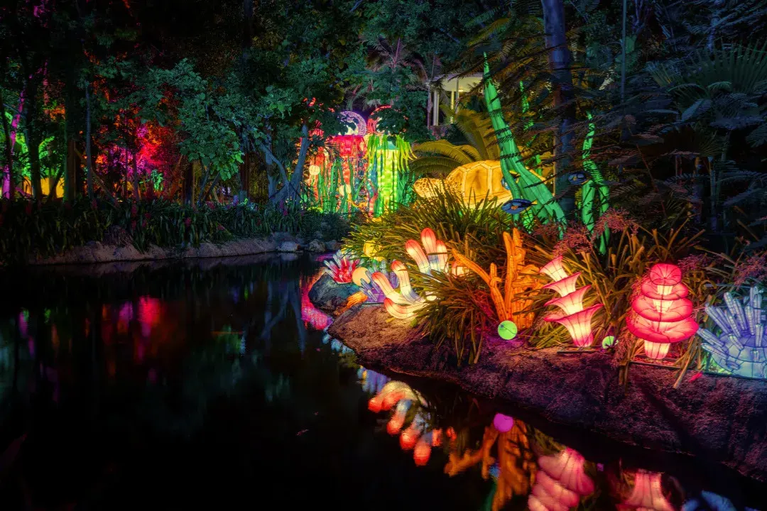 Luminosa Miami